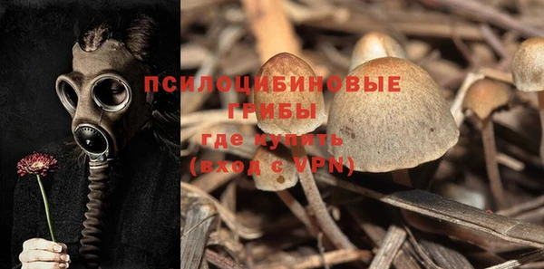 прущие крисы Бугульма