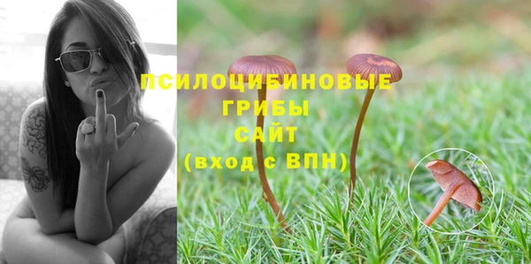 сатива Верхний Тагил