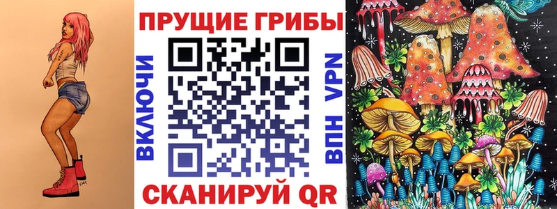 Купить закладки  Лебедянь  Галлюциногенные грибы Psilocybine cubensis 